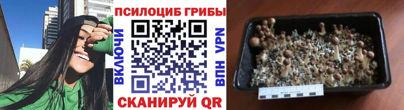 Галлюциногенные грибы прущие грибы  Лысьва 